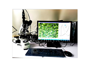 YG002D纖維細(xì)度及成份分析儀